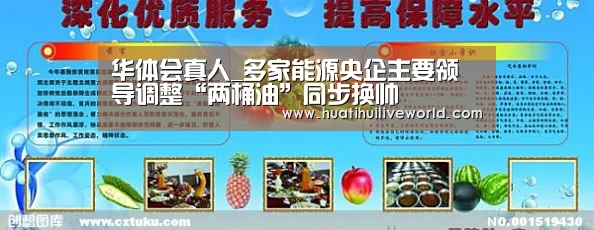 华体会真人_多家能源央企主要领导调整“两桶油”同步换帅(图3) 华体会竞猜
