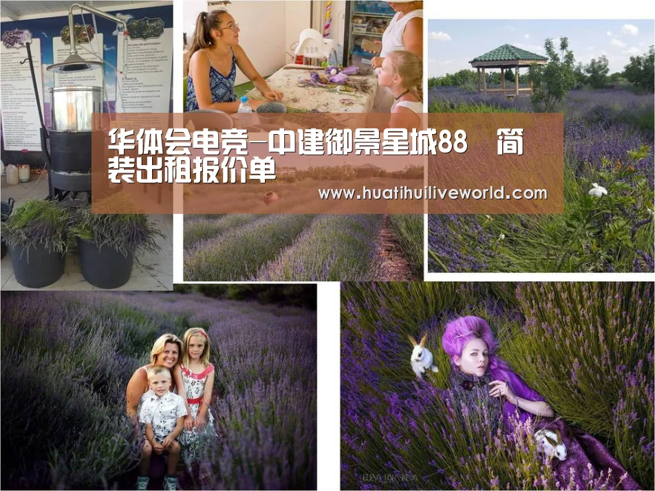 华体会竞猜